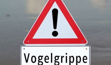 Vogelgrippe2