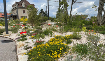 Duftgarten Duftgarten