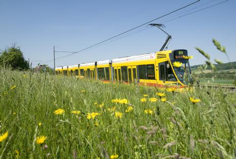 öffentlicher Verkehr