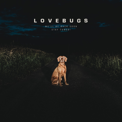 Bild Lovebugs Hund stay tuned Bild Lovebugs Hund stay tuned