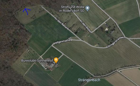Grillstelle ob den Reben-Standort Grillstelle ob den Reben-Standort