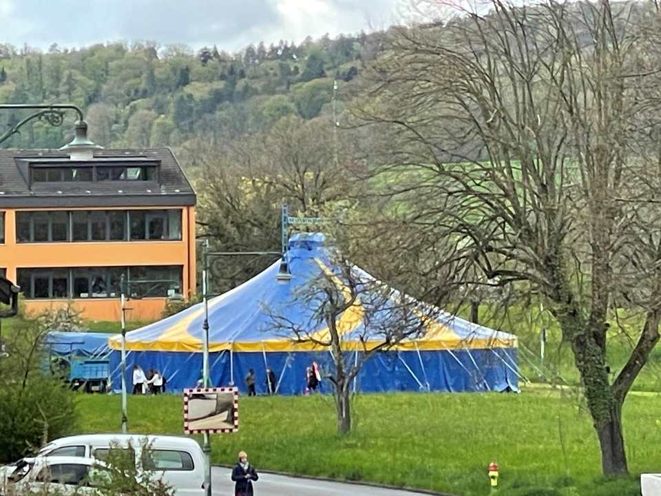 Zirkus Zirkus