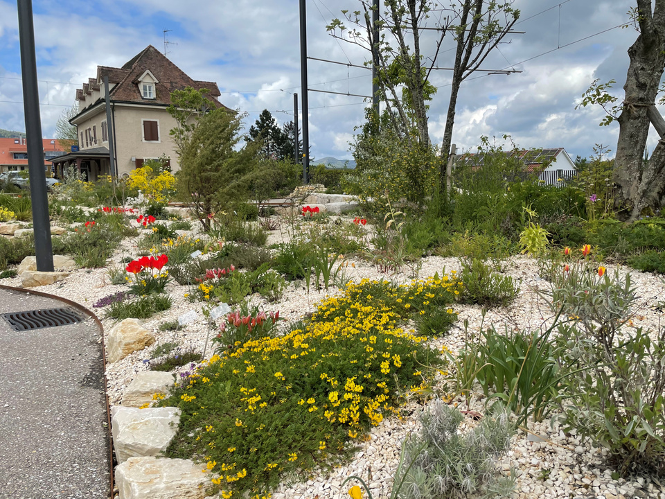 Duftgarten Duftgarten